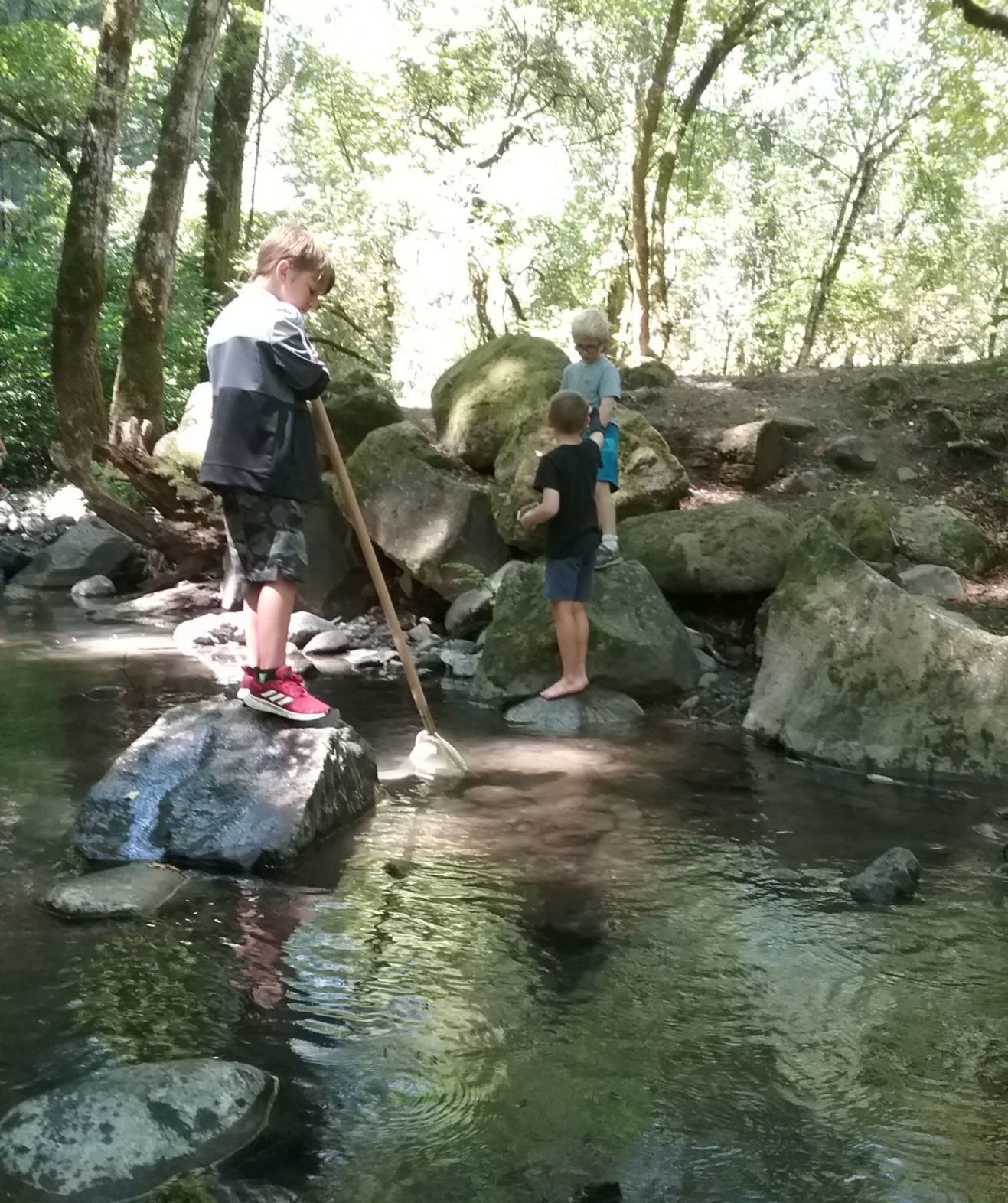 Bothe-Napa summer camp
